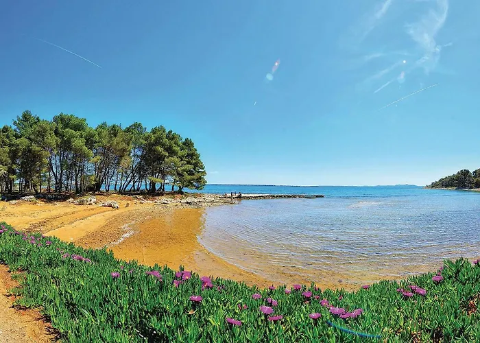 1 Bedroom Amazing In * Vir